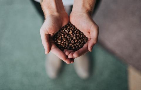 Why do we love coffee so much?
